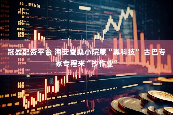 冠盈配资平台 海安蚕桑小院藏“黑科技” 古巴专家专程来“抄作业”