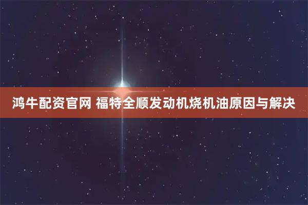 鸿牛配资官网 福特全顺发动机烧机油原因与解决