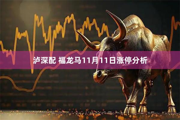 泸深配 福龙马11月11日涨停分析