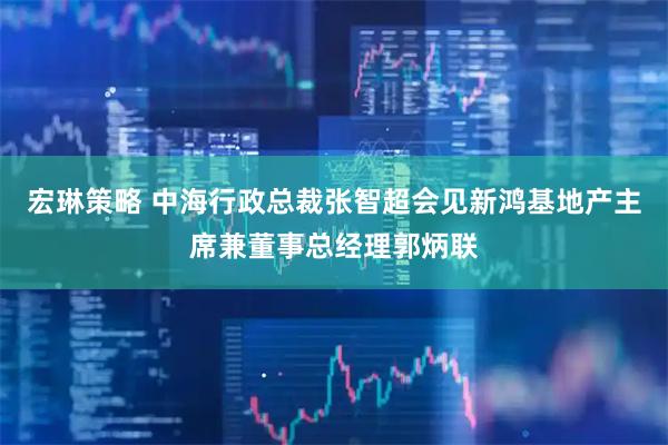 宏琳策略 中海行政总裁张智超会见新鸿基地产主席兼董事总经理郭炳联