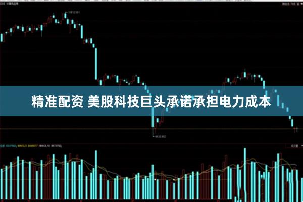 精准配资 美股科技巨头承诺承担电力成本