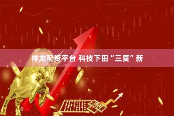 祥龙配资平台 科技下田“三夏”新