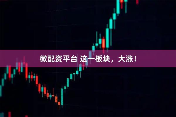 微配资平台 这一板块，大涨！
