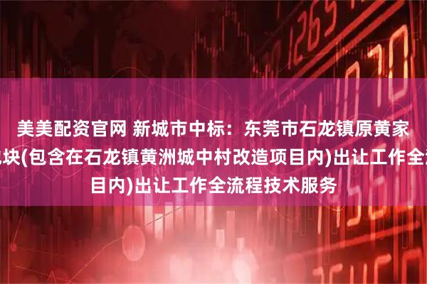 美美配资官网 新城市中标：东莞市石龙镇原黄家山轮胎市场地块(包含在石龙镇黄洲城中村改造项目内)出让工作全流程技术服务
