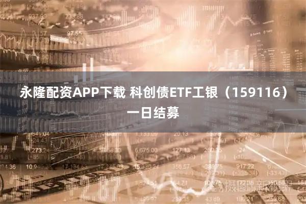 永隆配资APP下载 科创债ETF工银（159116）一日结募